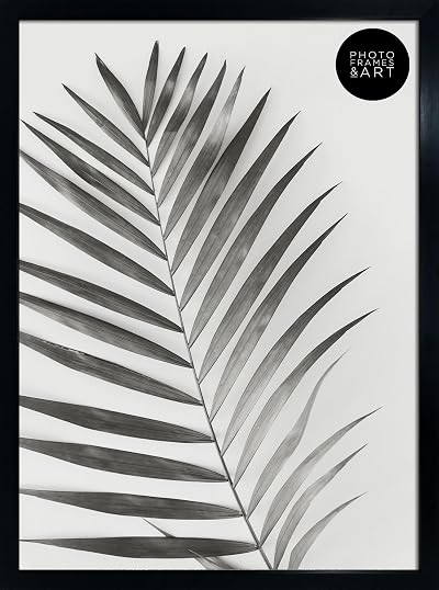 pf+a Perspex Window Black A2 Frame Poster Frame 42x59.4cm