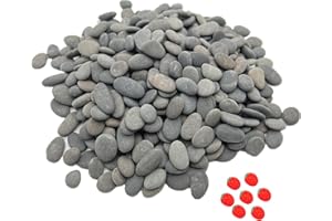 Lifetop 3LB Tiny Painting Rocks DIY Rocks for Painting Detail-Painting Smooth Surface Stones,Arts,Crafts Garden,About 350-400PCS 0.5 to 1.0 inches ，Hand Picked for Painting Rocks