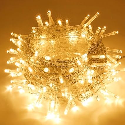 Amazon Com Sanjicha String Lights Indoor Outdoor