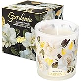 ROMIIE ZOI Scented Candle - Gardenia - 6oz Aromatherapy Soy Wax Jar Candle for Home, Gifts for Women - 170g