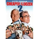 Cheaper by the Dozen 2