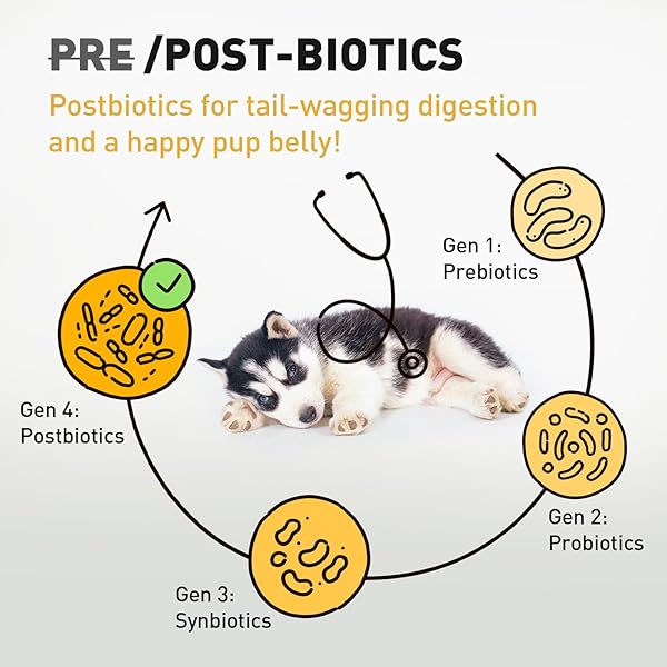PURPOSE NATURAL DRY DOG FOOD, GRAIN FREE DRY DOG FOOD, PROTEIN RICH DOG FOOD FOR ALL BREEDS AND LIFE STAGES, FREE-RANGE DUCK RECIPE WITH POSTBIOTICS, 4.5LB BAG, USA MADE