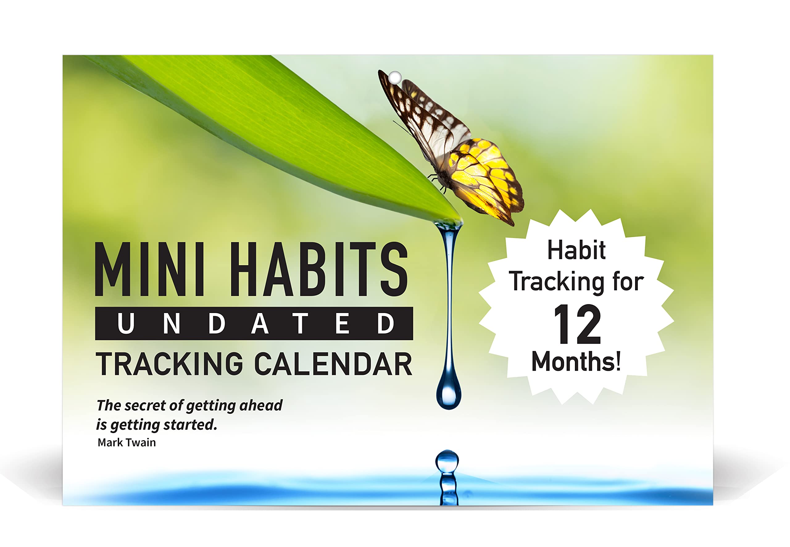 Official Mini Habits Tracking Calendar: 12 Months of Habit Tracking