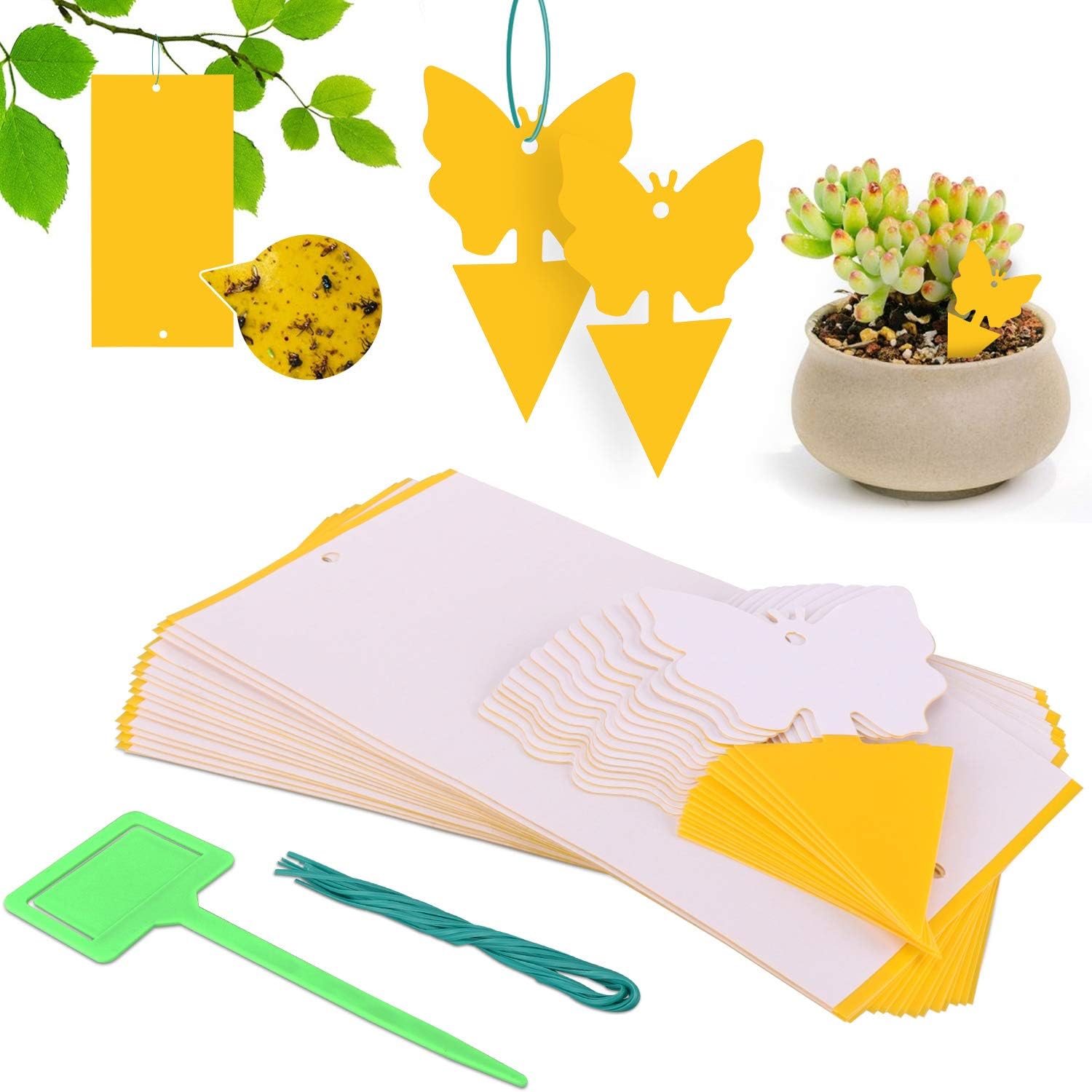 Rajvia 30 PCS Fruit Fly Traps Yellow Fly Paper Sticky Traps, Fungus