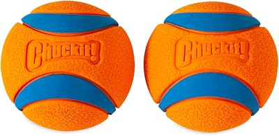 Chuckit Ultra Ball Large 7.3cm Pack of 2 Durable High Bounce Rubber Toy