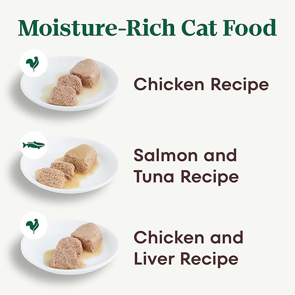 NUTRO NATURAL CHOICE WET CAT FOOD PATE VARIETY PACK, 2.64 OZ. TWIN-PACK TRAYS, 24 PACK