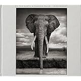 On This Earth, A Shadow Falls