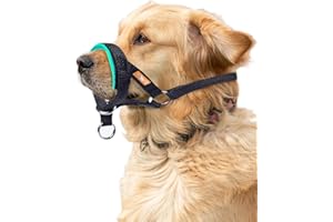 wintchuk Dog Head Collar with Soft Fabric, Head Harness Stops Dog Pulling, Head Leash for Small Medium Large Dogs Walking (S, Green)