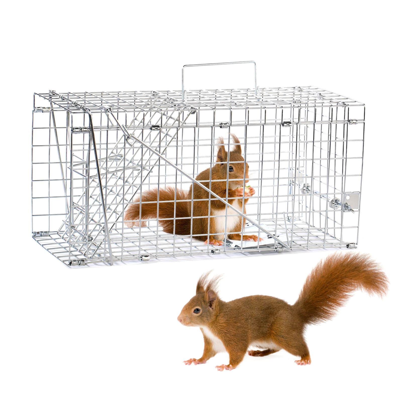 Photo 1 of 17" Humane Squirrel Trap, Folding Live Small Animal Trap, Easy Catch and Release