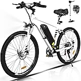 HITWAY Electric Bike for