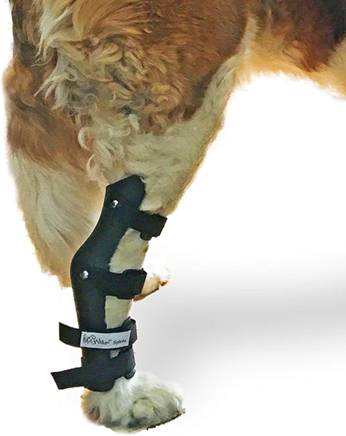 dog boot splint