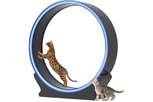 MIWOOYY Large Cat Exercise Wheel with LED Lights - 40 inch Blue ABS Plastic Cat Wheel Exerciser for Indoor Cats, Safety Cat Treadmill with Non Slip Carpet & Lock Pin