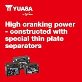 Yuasa YTX12 12V 180CCA Maintenance Free AGM Motorcycle Battery view 6
