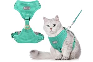 GoGoPaw Cat Harness and Leash Set, Adjustable Soft Kitten Harness Breathable Mesh Cat Harness Escape Proof for Walking, Reflective Cat Vest Harness for Large Small Cat Kitten Puppy(Turquoise, S-2)