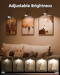 EZVALO Picture Lights for Wall, 2000mAh