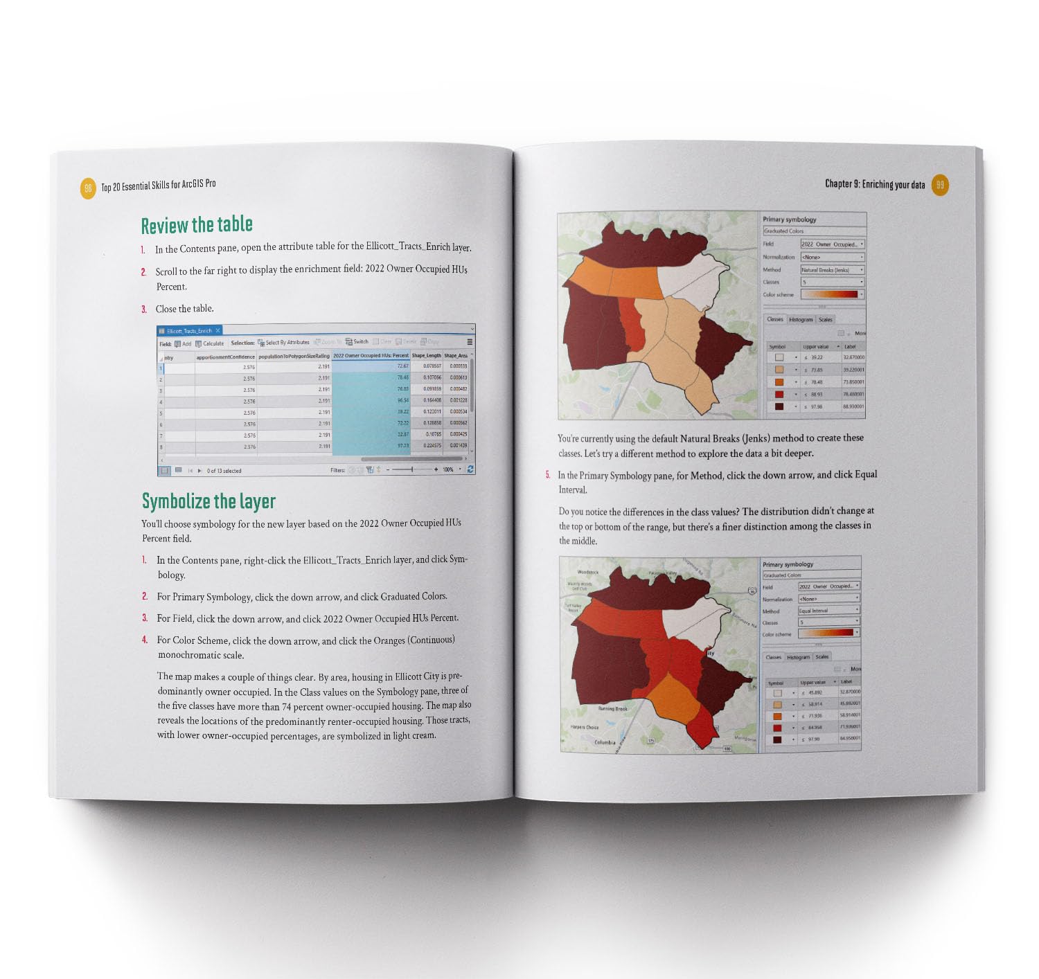 Top 20 Essential Skills for ArcGIS Pro (Top 20 Essential Skills, 1)