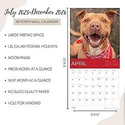 July 2025- December 2026 Pit Bulls Wall Calendar 18