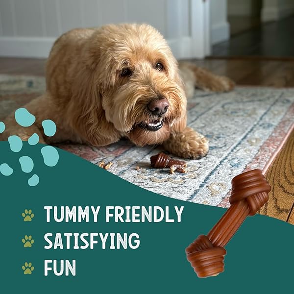 GNAWTURALS RAWHIDE FREE DOG CHEWS | RIBBED BONES | FOR LARGE – EXTRA LARGE DOGS | PUMPKIN, PSYLLIUM HUSK AND CHICORY ROOT FOR EASY DIGESTION AND OVERALL GUT HEALTH (2 BONES, PUMPKIN)