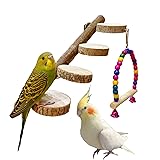Bird Perch For Cage Bird Ladder Perch Nature Wood