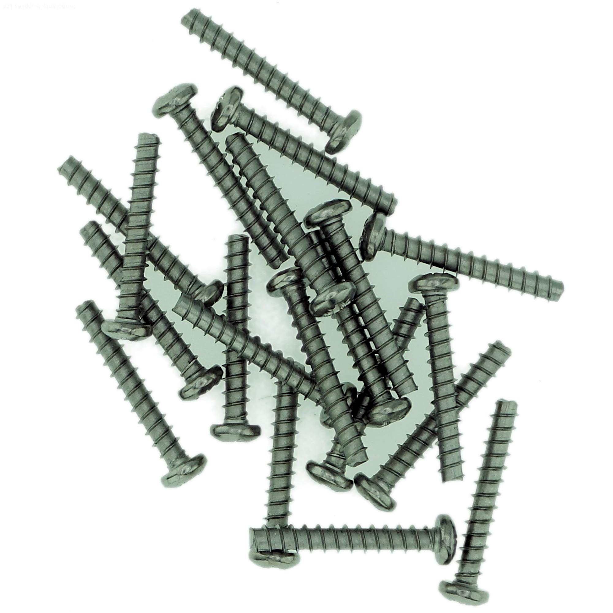 D4 (4mm x 12mm) Pozi Pan Screws for Plastic (Trilobular) - Stainless Steel (A2) (Pack of 20)