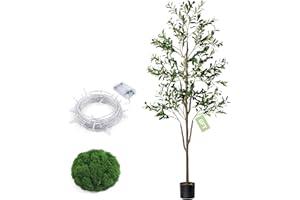 Olive Tree, 6FT Tall Faux Olive Tree with Moss and Planter, Olive Trees Artificial Indoor with Realistic Wood Trunk and Lifel