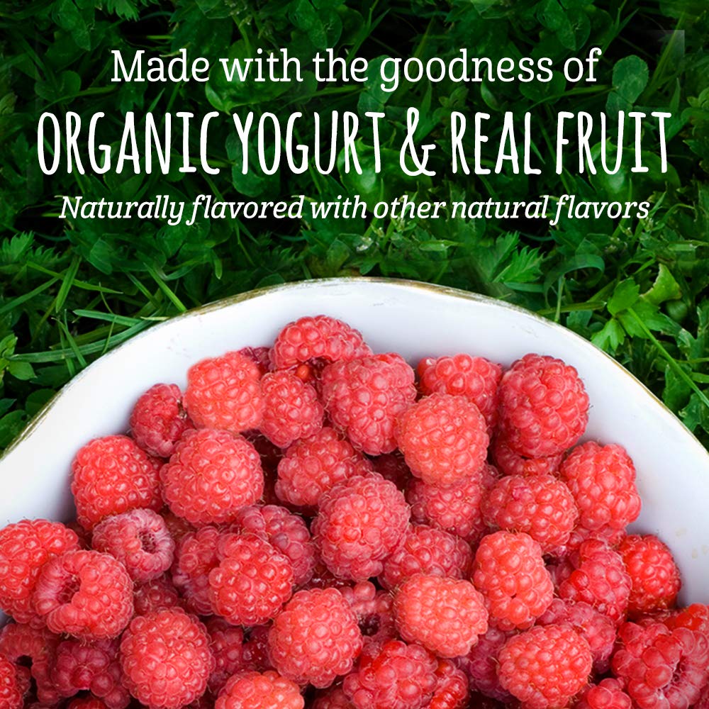 gerber organic yogurt melts banana strawberry