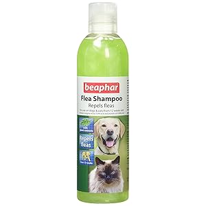 vetzyme flea shampoo 4 litre