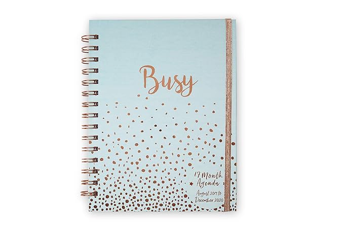 Tri-Coastal Design Terminplaner mit Wochenplaner, 17 Monate, 2019 busy blue