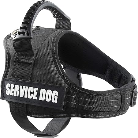 amazon service dog vest