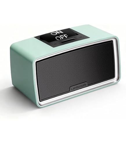 Amazon.com: Lamborsafe One-Button Simple Music Player for Seniors