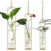 MIPON Plant Propagation Stations,Hanging Glass Propagation Test Tube Vases for Plants with Gold Metal Stand for Hydroponic Cutting Home Garden Office Decor-Gold