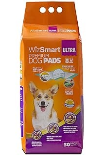 fromm dog food amazon