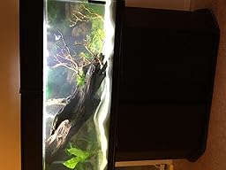 sand filter pool helpful feedback sending yes found comment