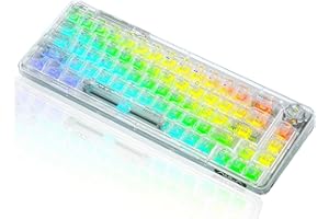 CC MALL 60% Transparent Mechanical Keyboard with Clear Keycaps,Gasket Hot Swappable Custom Wireless Keyboard,RGB Backlit Gaming Keyboard,2.4G/Type-C/Bluetooth Mechanical Keyboard(White)