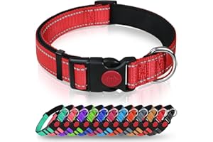 Taglory Reflective Dog Collar with Safety Locking Buckle, Adjustable Nylon Pet Collars for Medium Dogs Female Male, Red, M