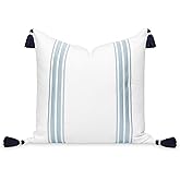 Hofdeco Premium Coastal Patio Indoor Outdoor Throw Pillow Cover Only, 20"x20" Water Repellent for Backyard, Couch, Baby Blue Embroidered Stripes with Tassels