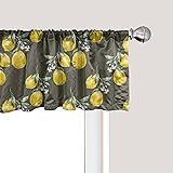 Ambesonne Floral Window Valance, Lemon Branches