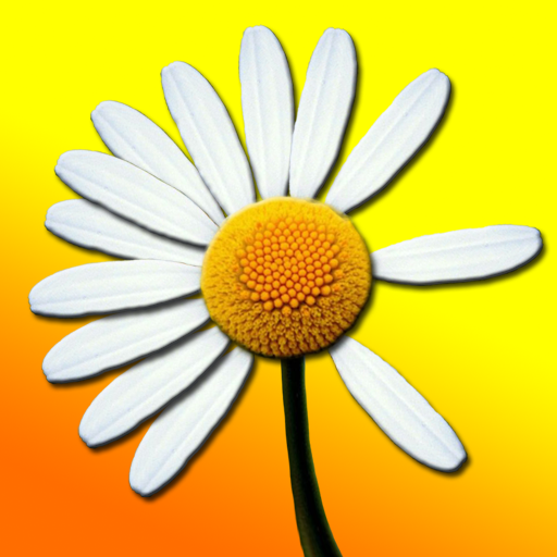 Daisy for Android