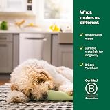 Earth Rated Enrichment Dog Toy Large Green Natural Rubber Freezer Safe view 7