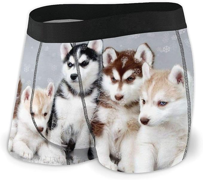 Husky Puppy Men'S Cool Boxer Briefs Underwear at Amazon Men’s Clothing