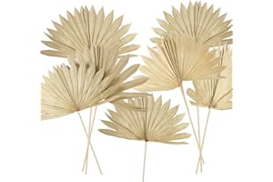 Chenkaiyang 10 Pieces Large Dried Palm Leaves Decor Sun Palm Natural Dried Palm Fans Dried Palm Spears Gold Palm Leaf Dried Plants for Boho Wedding Bouquets Home Leaf Party Decorations( 10 Pieces )