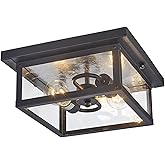Lifora Hay 11.5in Outdoor Ceiling Light Fixture, Square Flush Mount Porch Lights, 2-Light, E26-based, Clear Tempered Glass La