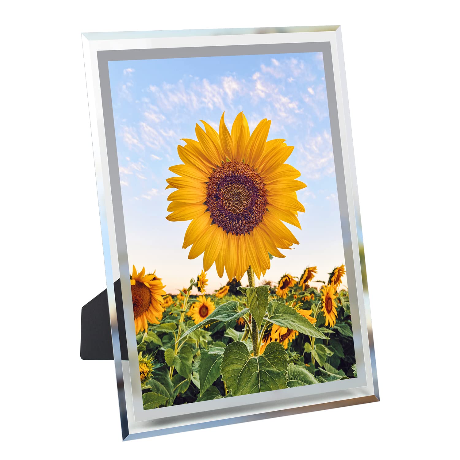 A4 Picture Frames Glass Personalised Photo Frame Certificate Document Family Pictures Wall & Tabletop Display, Classic Photo Holder for Home Decor Silver A