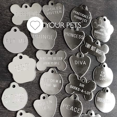 amazon dog tags for pets