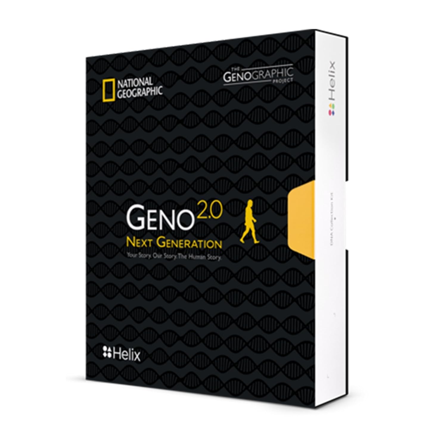 Buy National Geographic DNA Test Kit Geno 2.0 Next Generation
