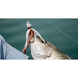 Berkley Gulp! Shrimp, 3in, 3" (6 Count) , Root Beer
