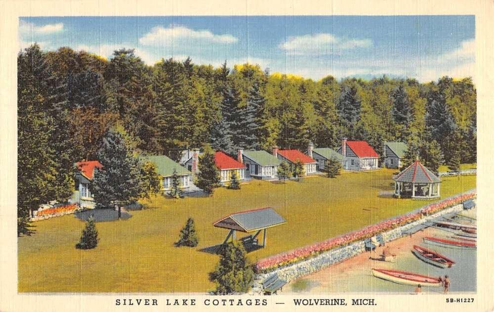 Wolverine Michigan Silver Lake Cottages Birdseye View Antique
