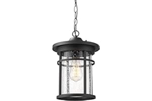 Diyel Outdoor Pendant Light Exterior Hanging Light for Porch 1-Light Hanging Lantern in Balck Finish with Clear Seeded Glass, RZ002-H BK