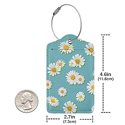Docsckus 2 PCS PU Leahter Luggage Tag with