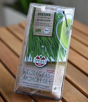 Weizengras Anzuchtset inkl. Saat,1 Set